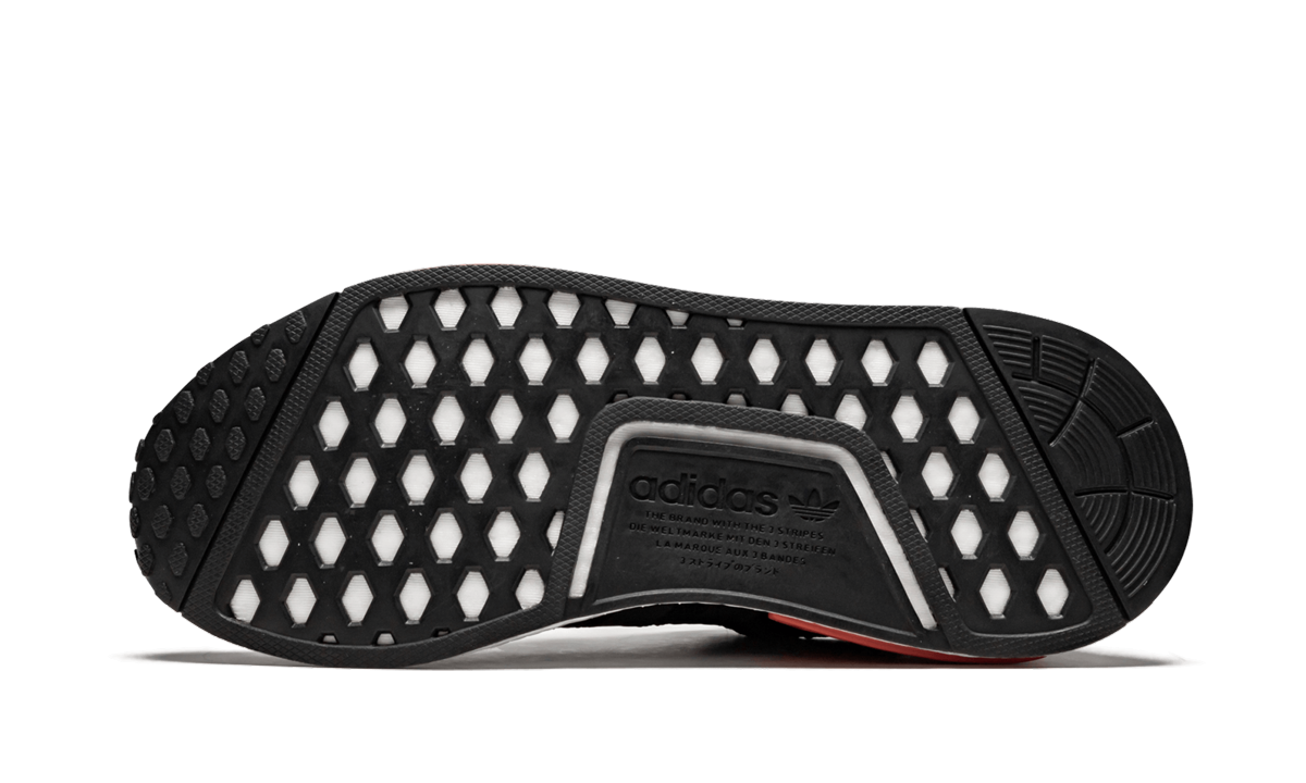 NMD_R1