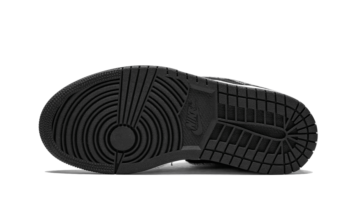 AIR JORDAN 1 RETRO HIGH OG WMNS "Twist" CD0461 007