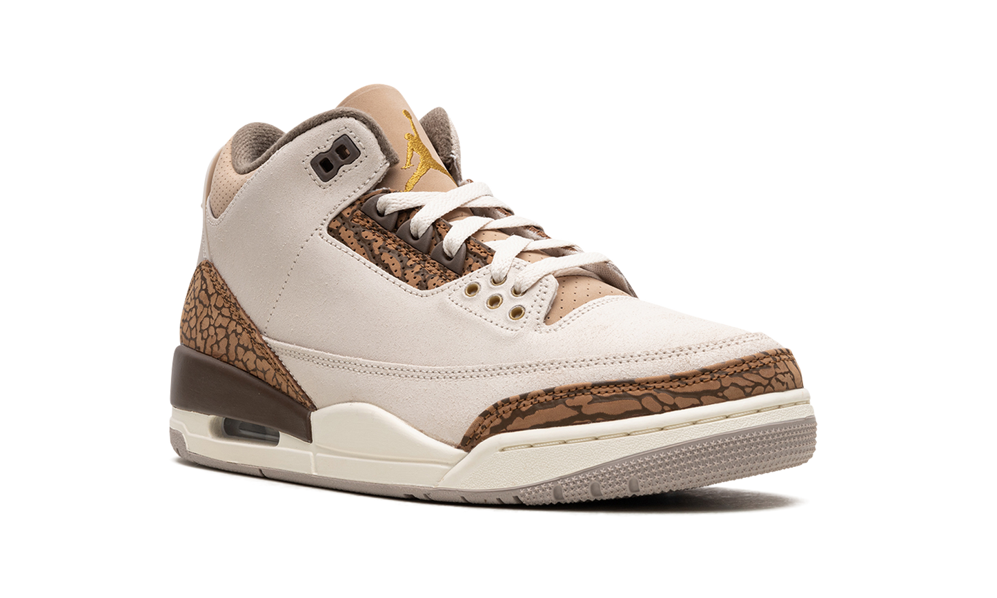Air Jordan 3 "Palomino" CT8532 102