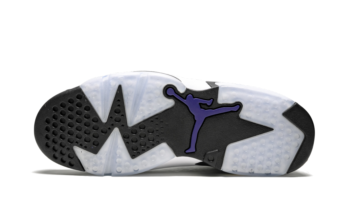 Air Jordan Retro 6 "Flint Grey" CI3125 100