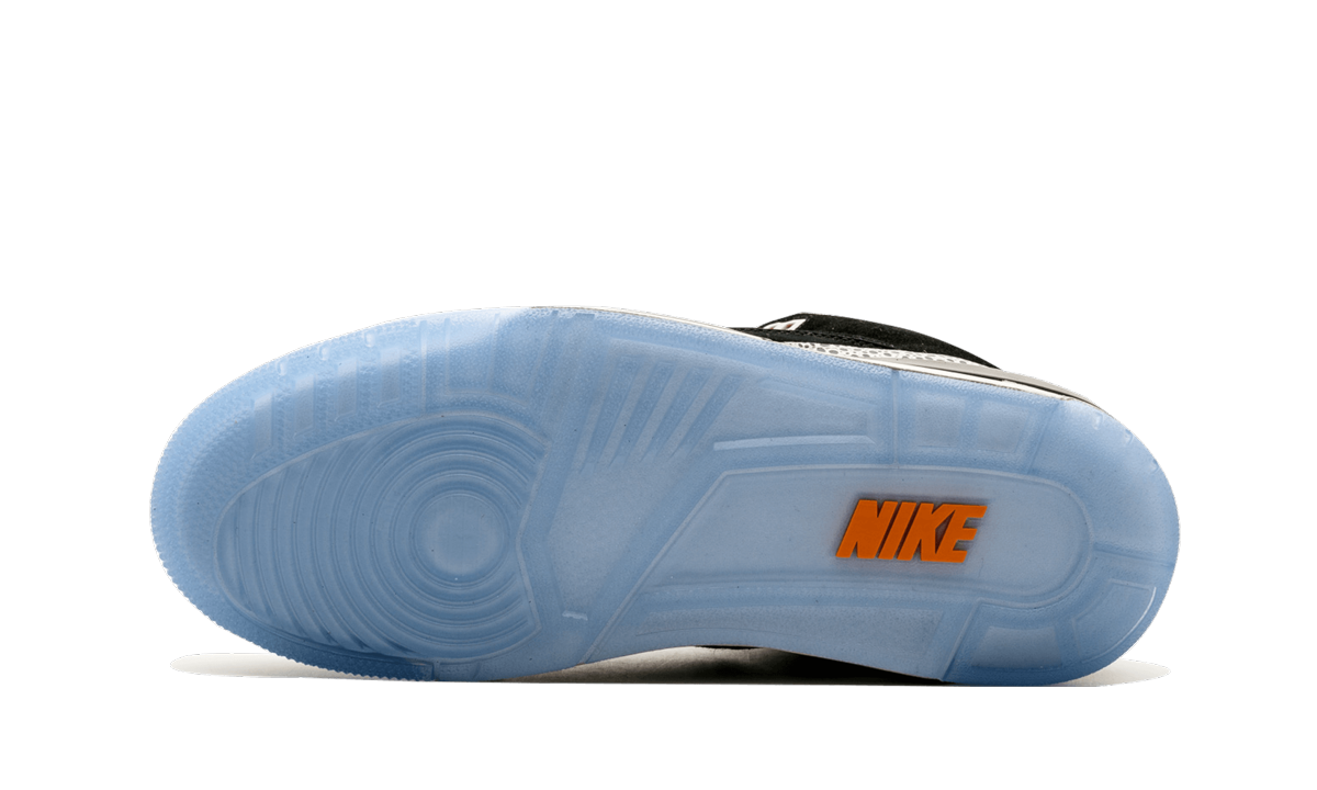 Air Jordan X Max Pack "Atmos Safari / Elephant Pack" 923098 900