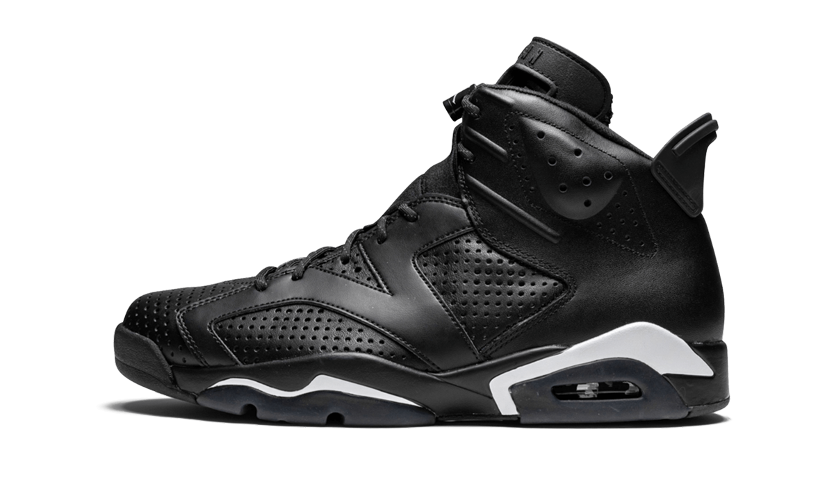 Air Jordan 6 Retro "Black Cat" 384664 020