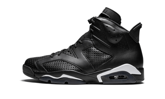 Air Jordan 6 Retro "Black Cat" 384664 020