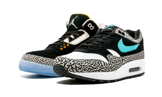 Air Jordan X Max Pack "Atmos Safari / Elephant Pack" 923098 900
