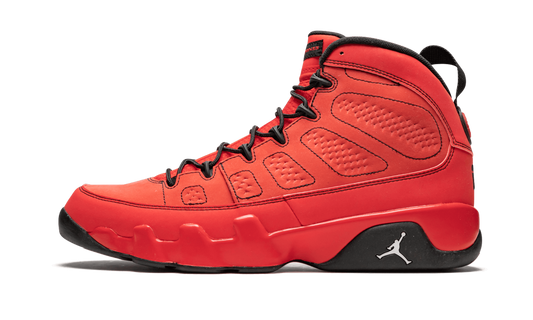 Air Jordan 9 Retro "Motorboat Jones" 302370 645