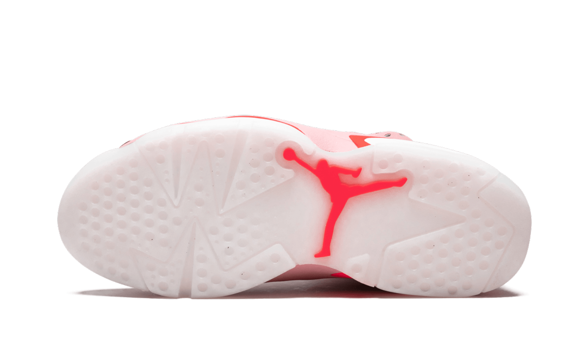 AIR JORDAN 6 RETRO NRG WMNS "Aleali May" CI0550 600