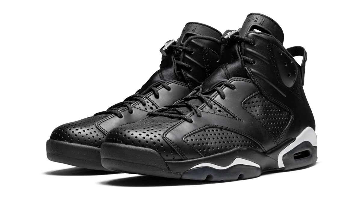 Air Jordan 6 Retro "Black Cat" 384664 020