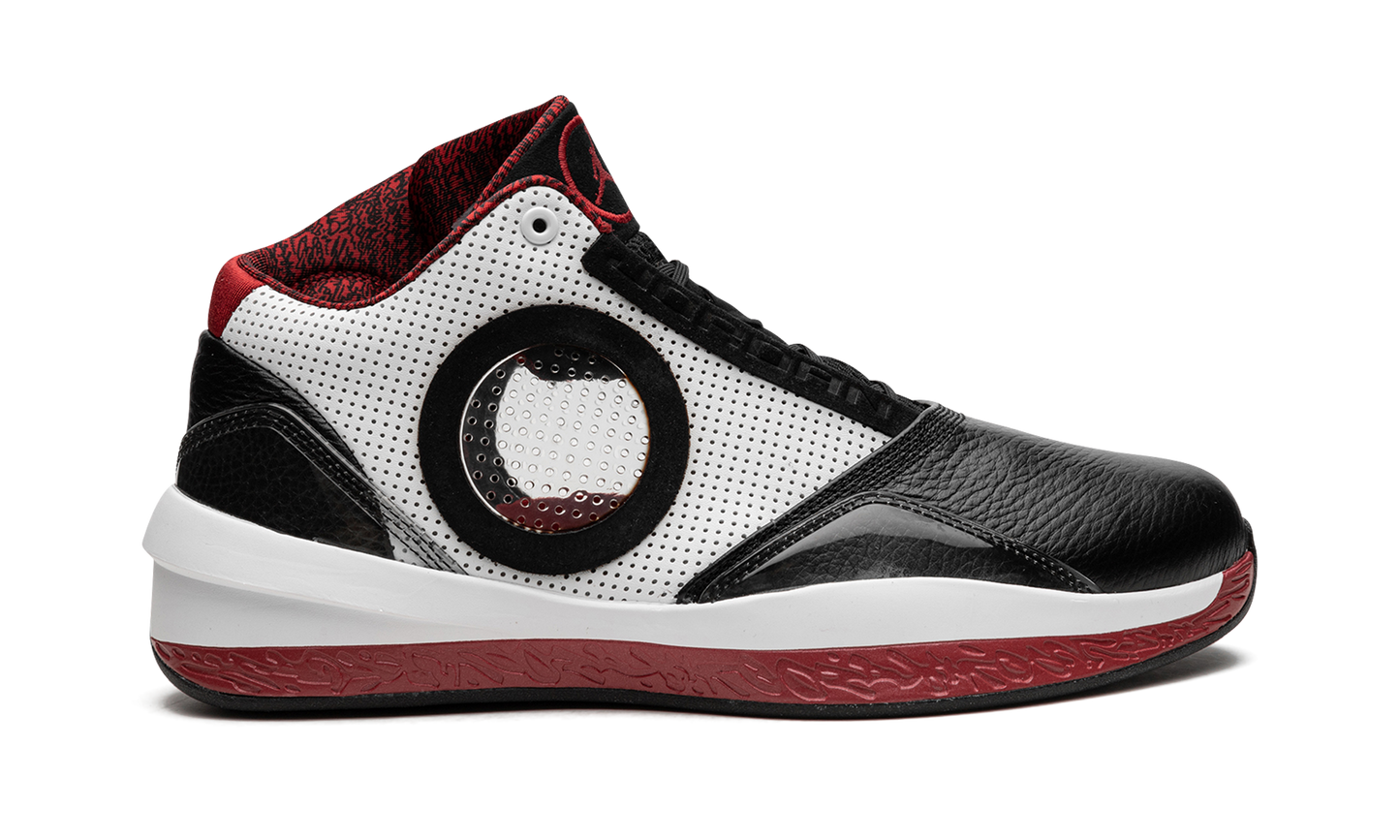 Air Jordan 2010 387358 061