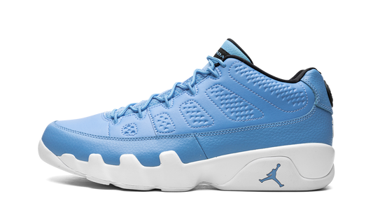 Air Jordan 9 Retro Low "Pantone" 832822 401