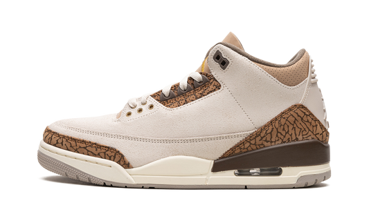 Air Jordan 3 "Palomino" CT8532 102