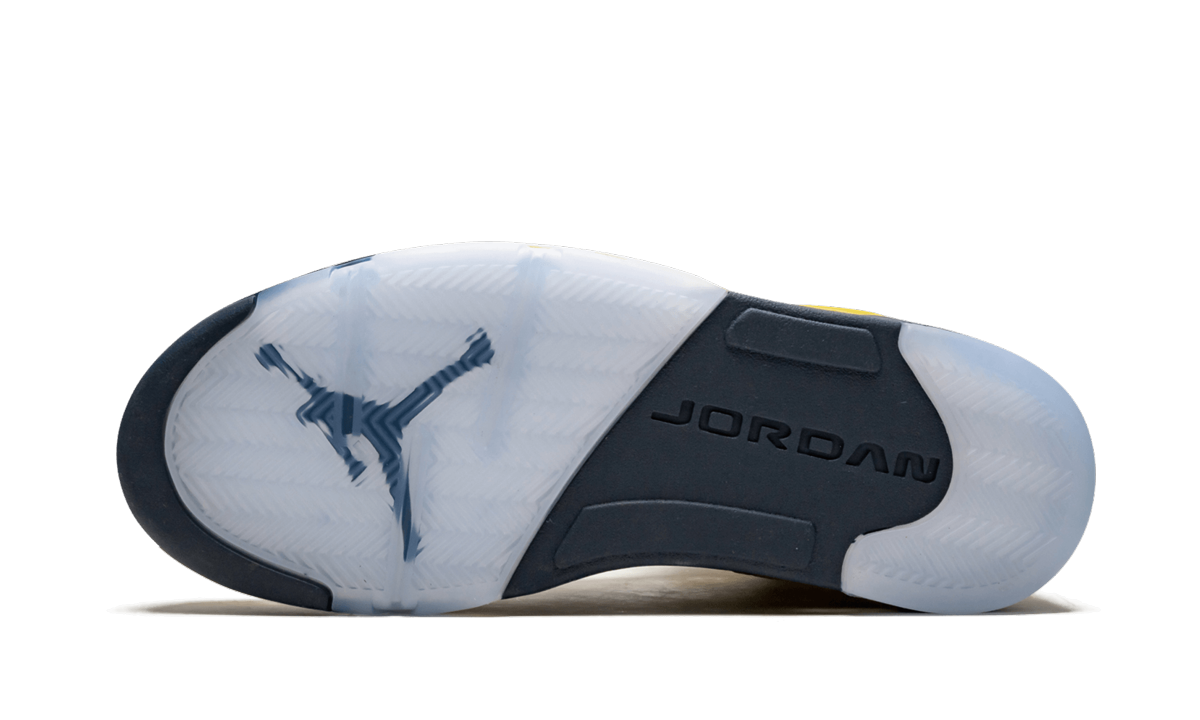 Air Jordan 5 Retro SE "Michigan" CQ9541 704