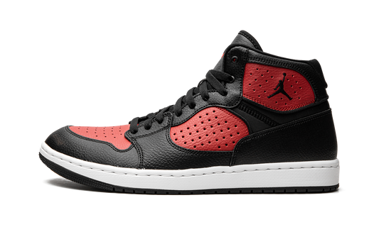 Air Jordan Access AR3762 006