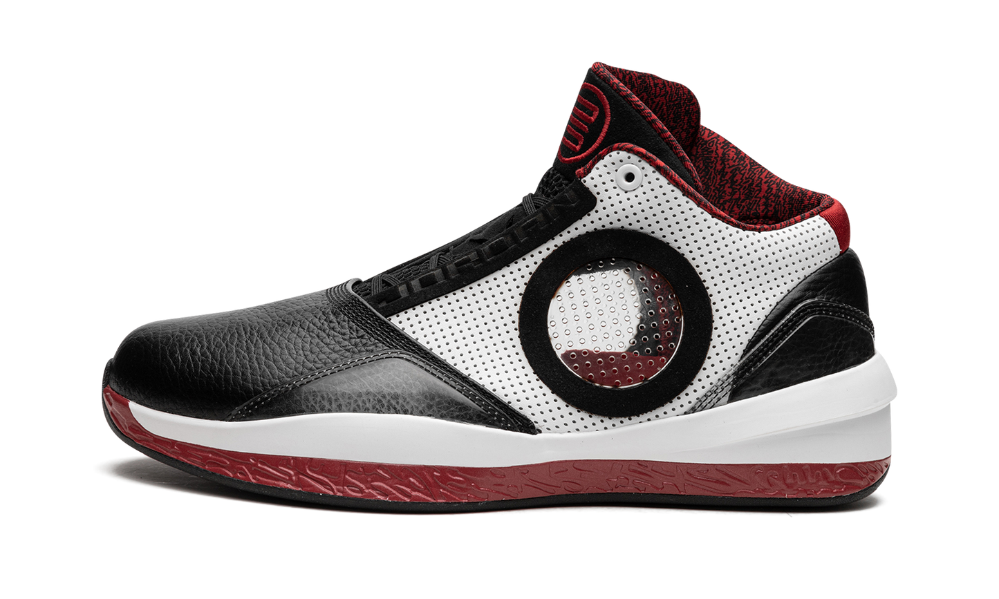 Air Jordan 2010 387358 061