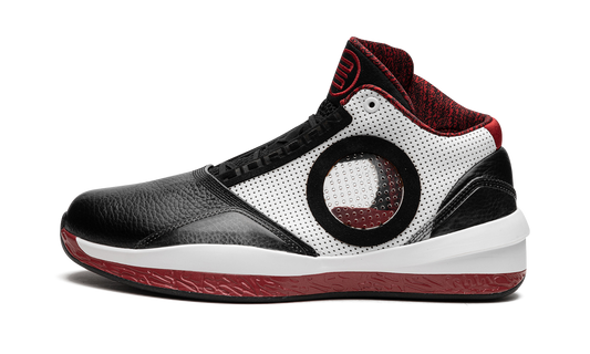 Air Jordan 2010 387358 061