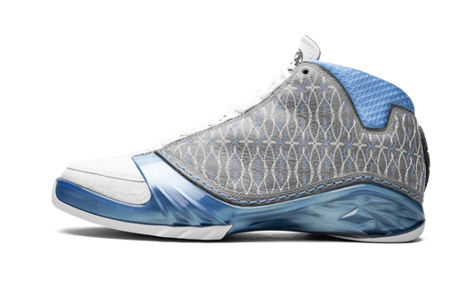 Air Jordan 23 Premier "Titanium" 318474 151