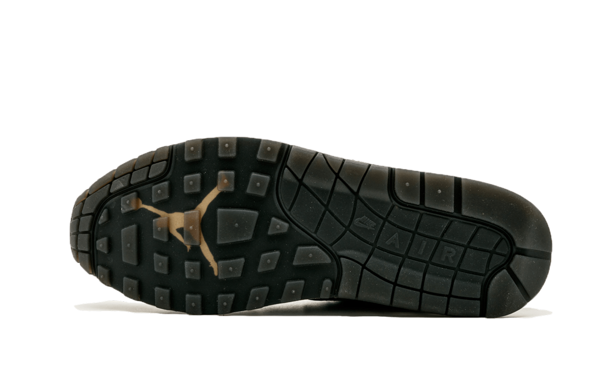 Air Jordan X Max Pack "Atmos Safari / Elephant Pack" 923098 900