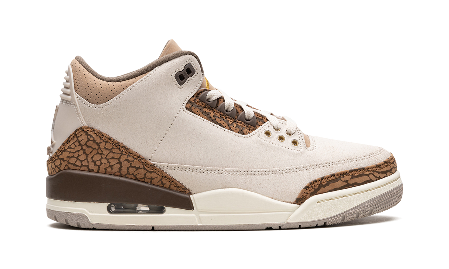 Air Jordan 3 "Palomino" CT8532 102