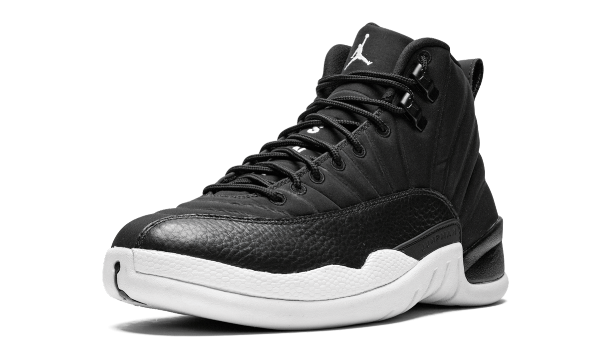 Air Jordan 12 Retro "PSNY FRIENDS AND FAMILY" 572646 849