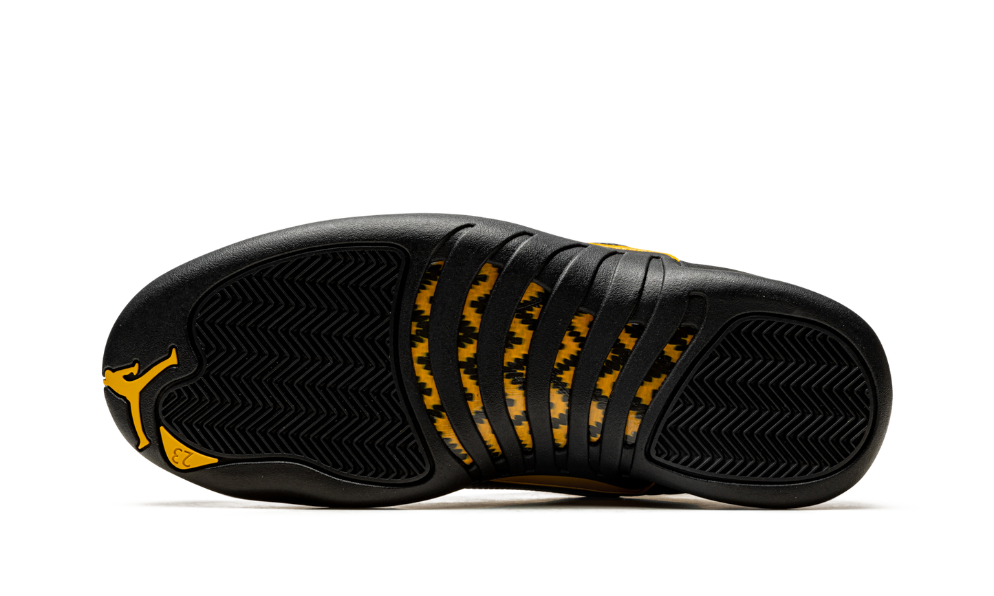 Air Jordan 12 Retro "Black Taxi" CT8013 071