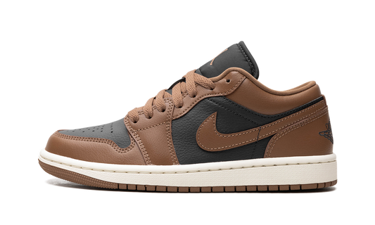 Air Jordan 1 "brown" DC0774-021