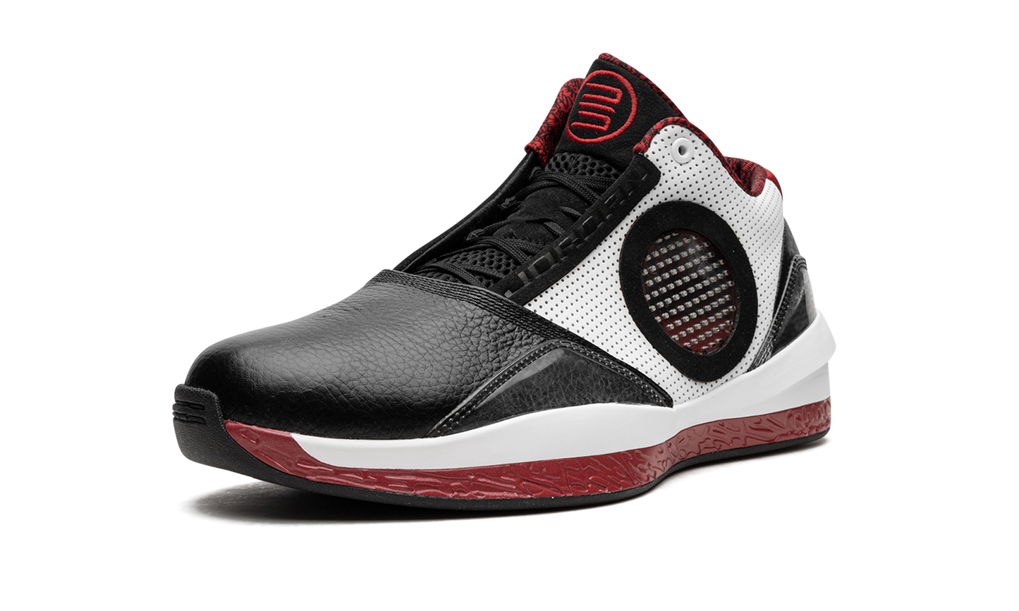 Air Jordan 2010 387358 061