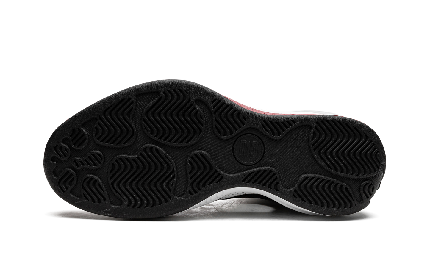 Air Jordan 2010 387358 061