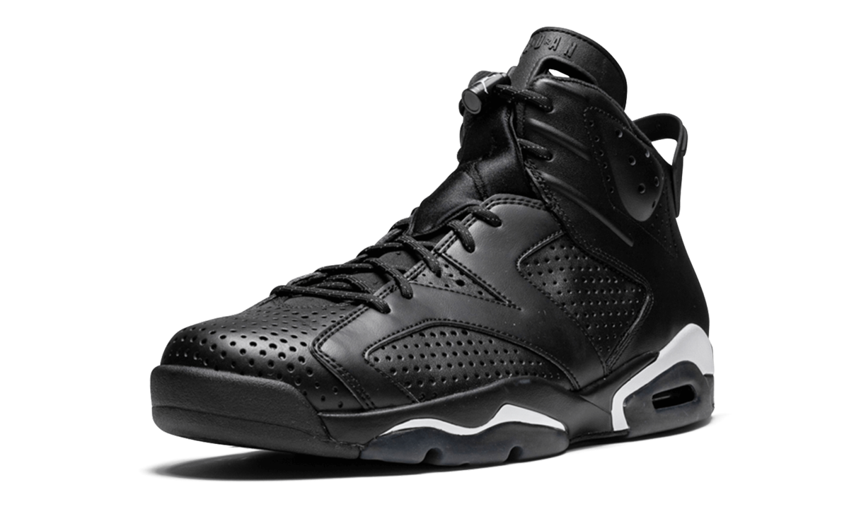 Air Jordan 6 Retro "Black Cat" 384664 020