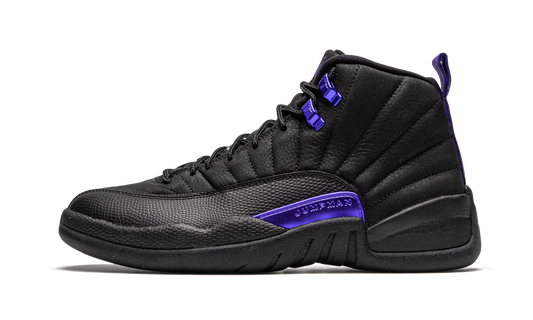 Air Jordan 12 Retro "Dark Concord" CT8013 005
