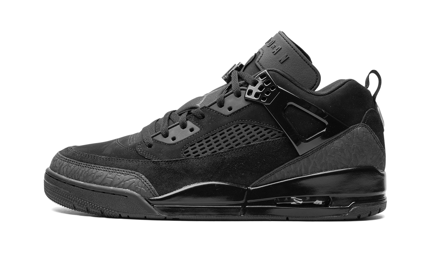 Jordan Spizike Low "Black Cat" FQ1759 001