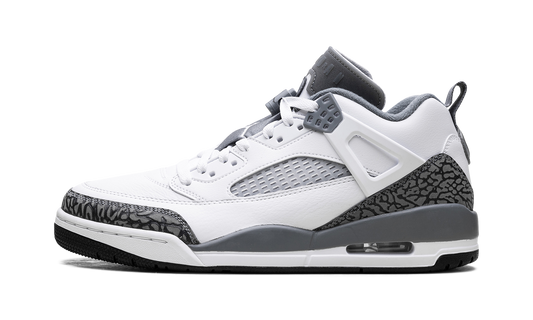 Jordan Spizike Low "Cool Grey Anthracite" FQ1759 102