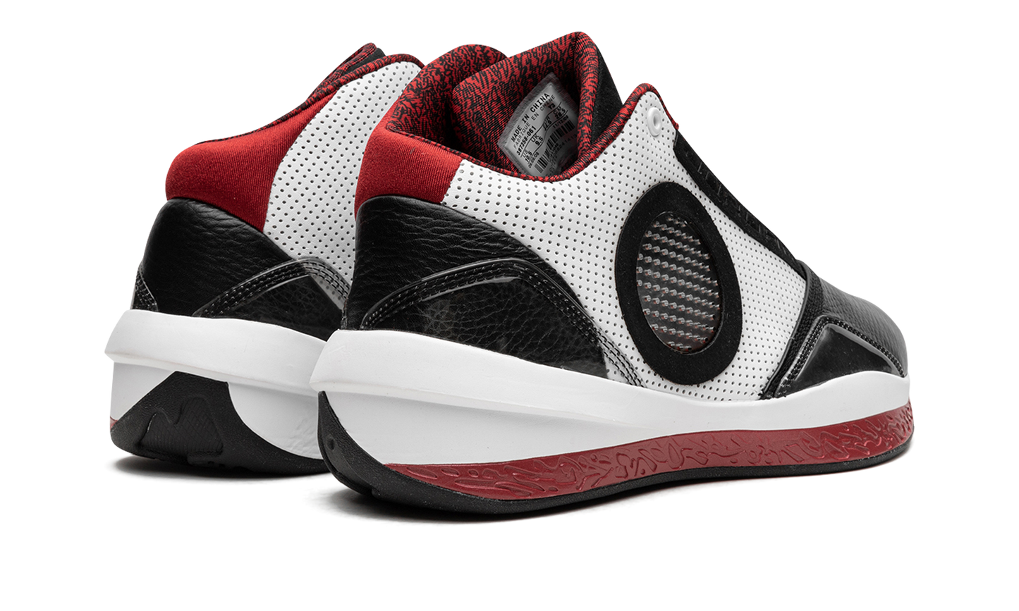 Air Jordan 2010 387358 061