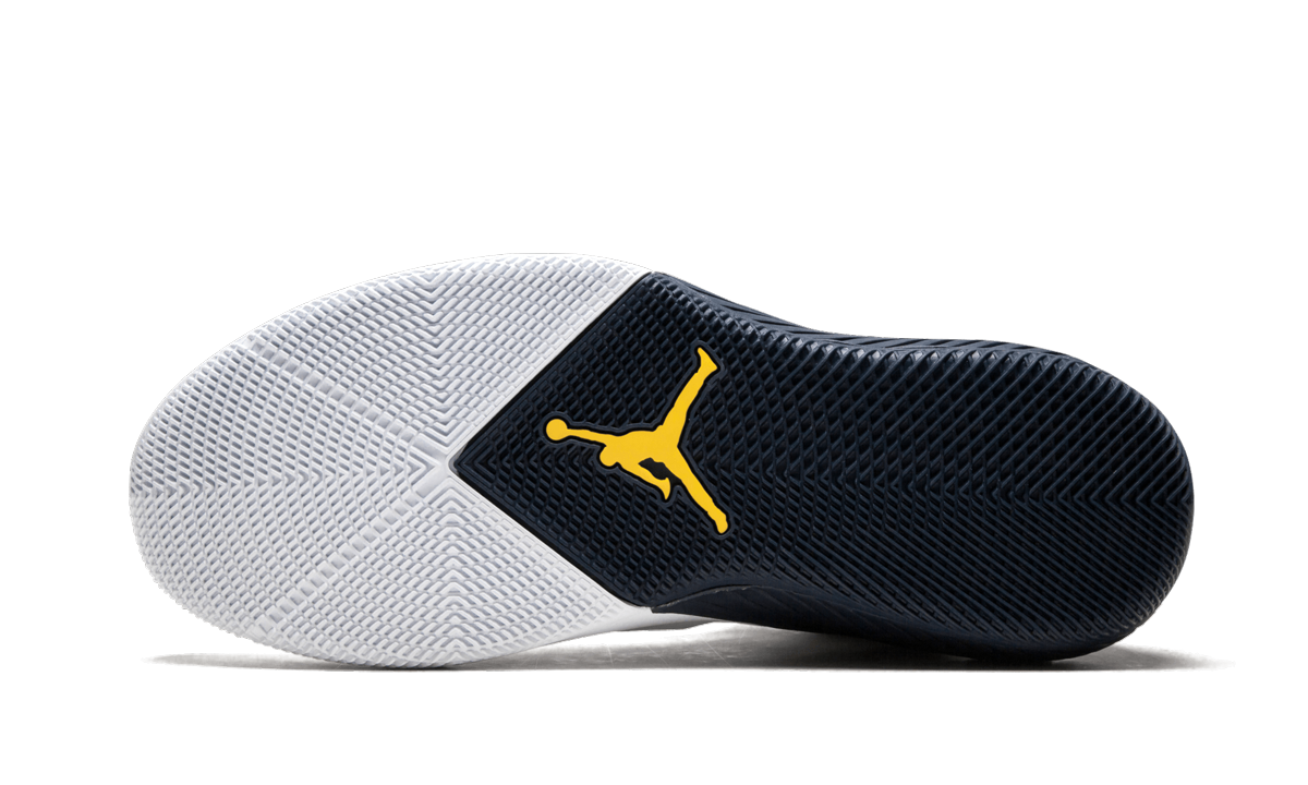 Jordan Why Not Zer0.1 "Michigan PE"